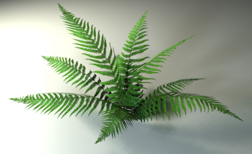 Fern preview image 1